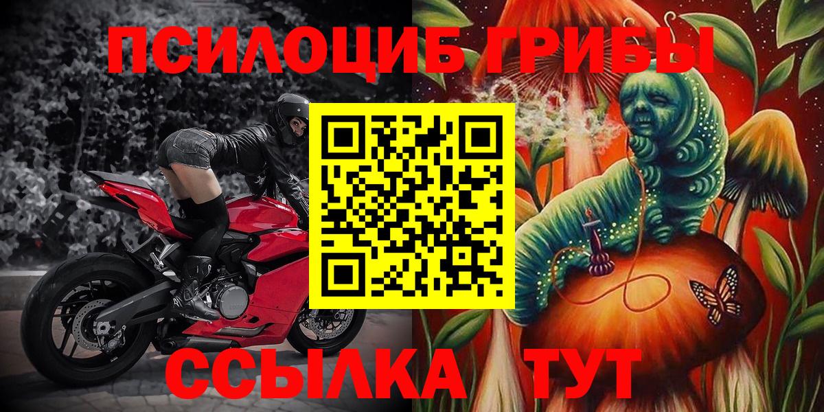 Галлюциногенные грибы прущие грибы Иваново